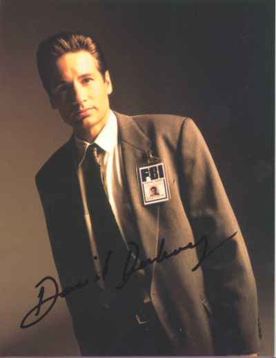 mouldy.jpg (10643 bytes)